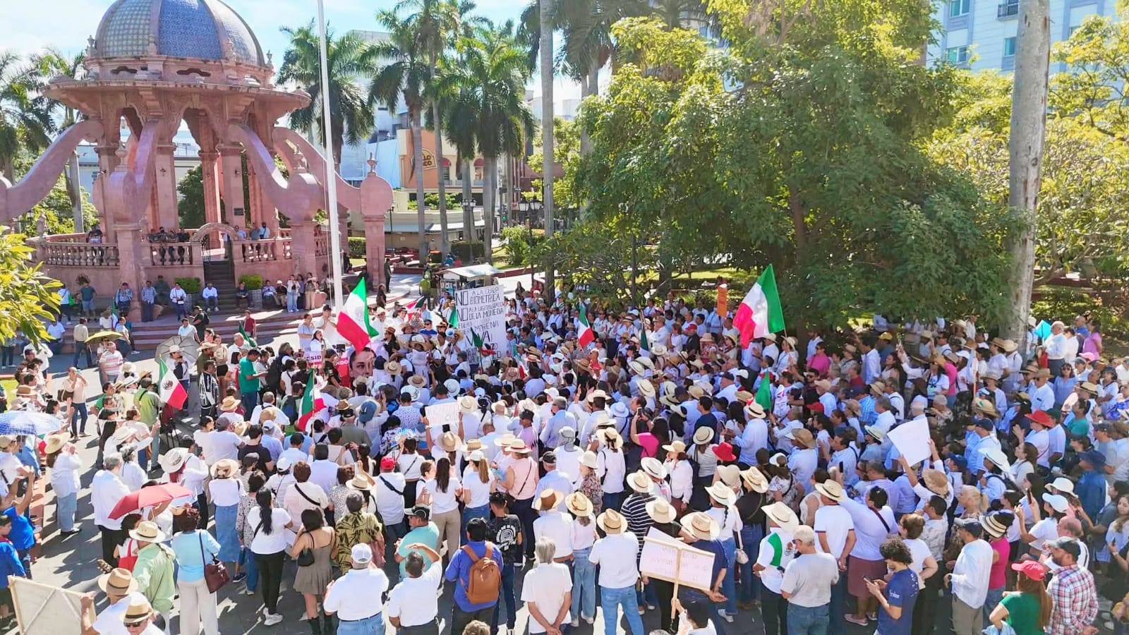 WhatsApp Image 2025-11-15 at 8.53.08 PM (1).jpeg