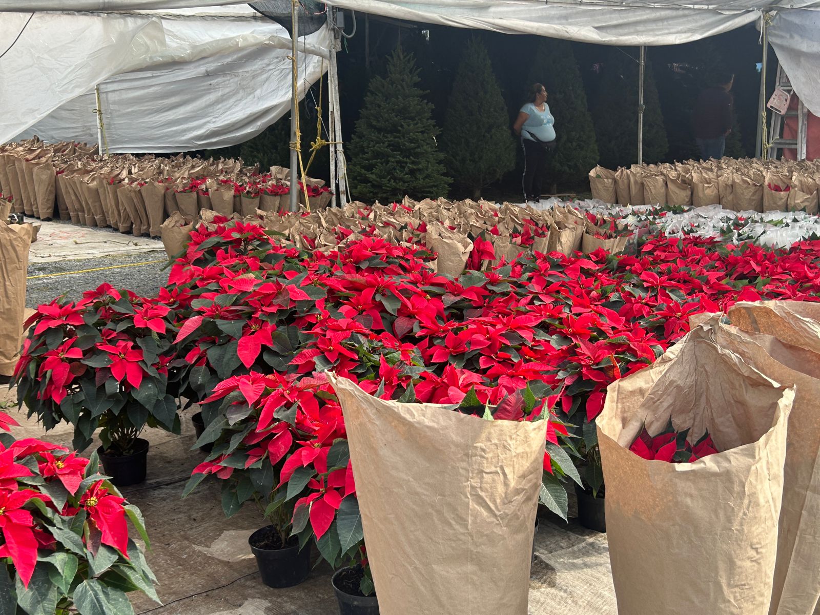 WhatsApp Image 2025-11-16 at 3.42.32 PM.jpeg