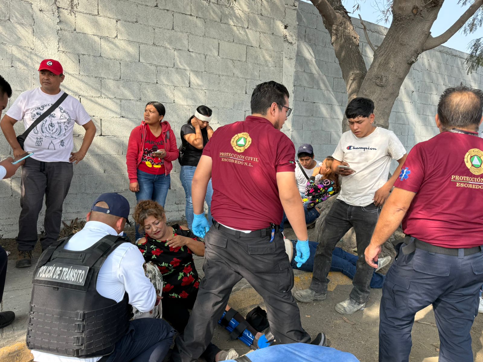 WhatsApp Image 2025-11-18 at 11.47.55.jpeg