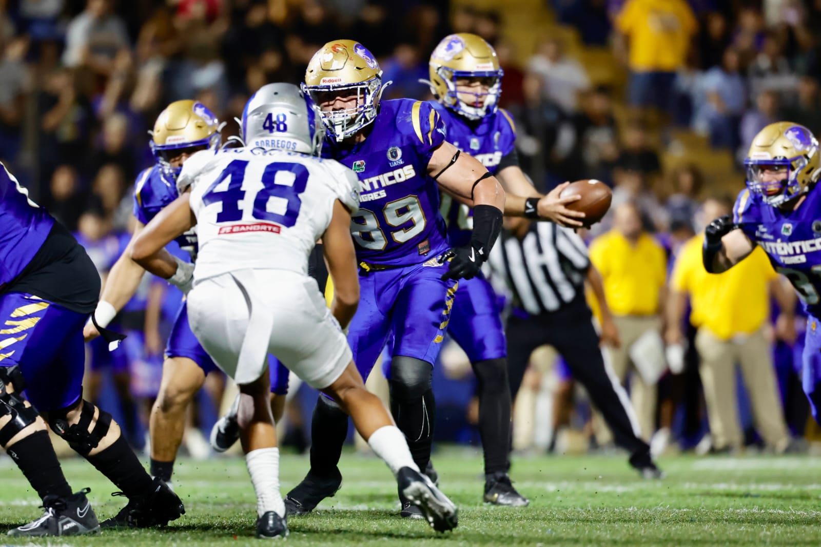 WhatsApp Image 2025-11-21 at 10.54.58 PM (2).jpeg