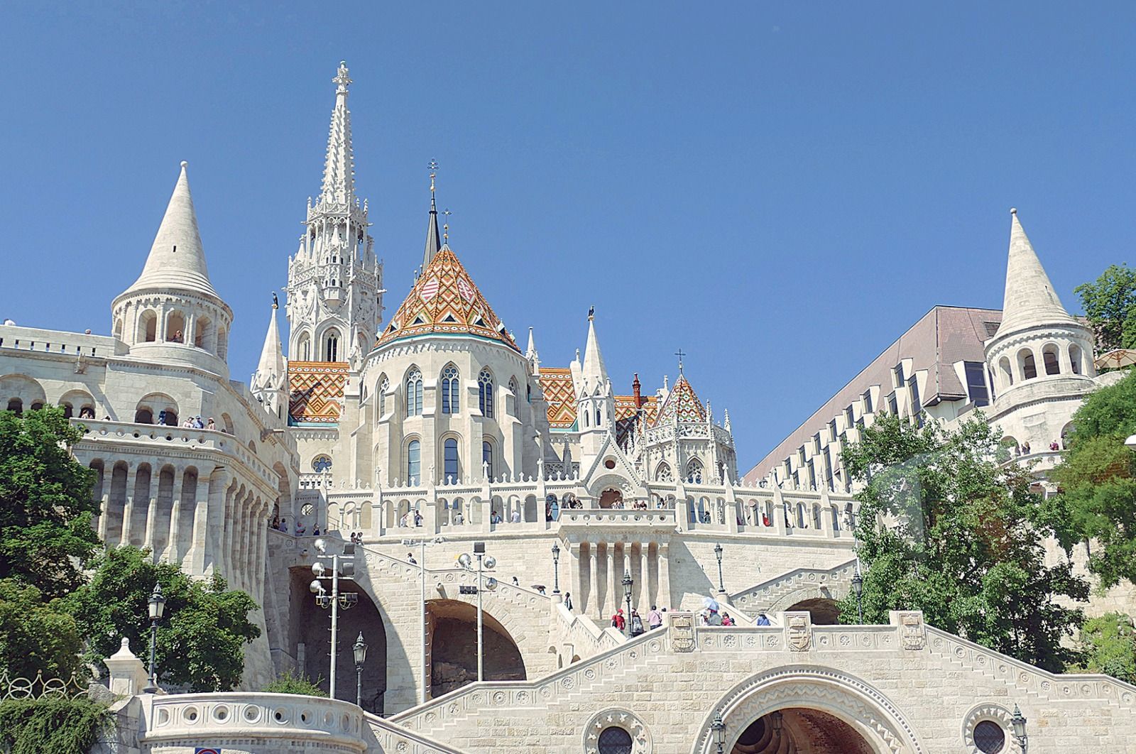 WhatsApp Image 2025-11-26 at 2.24.16 PM.jpeg