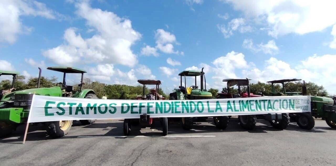 WhatsApp Image 2025-11-26 at 3.08.53 PM (1).jpeg