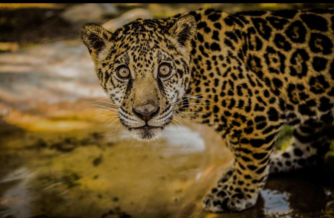 WhatsApp Image 2025-11-28 at 1.29.52 PM.jpeg