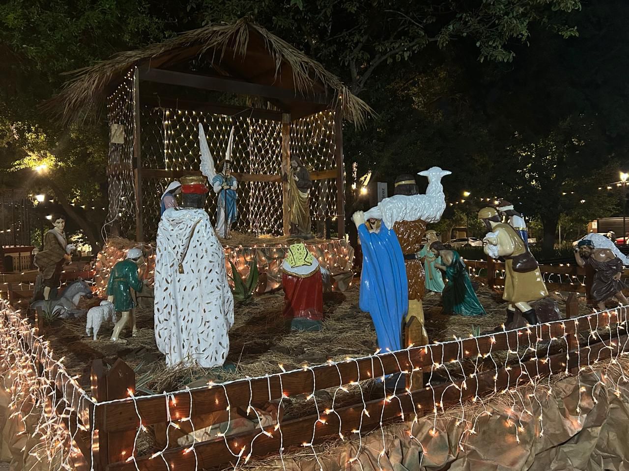 WhatsApp Image 2025-11-29 at 8.26.13 PM (2).jpeg