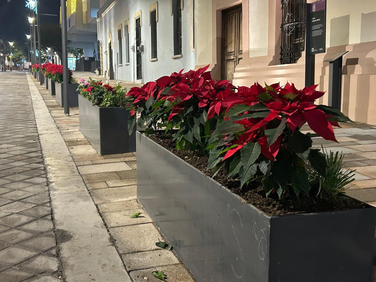 WhatsApp Image 2025-11-29 at 8.26.13 PM (3).jpeg