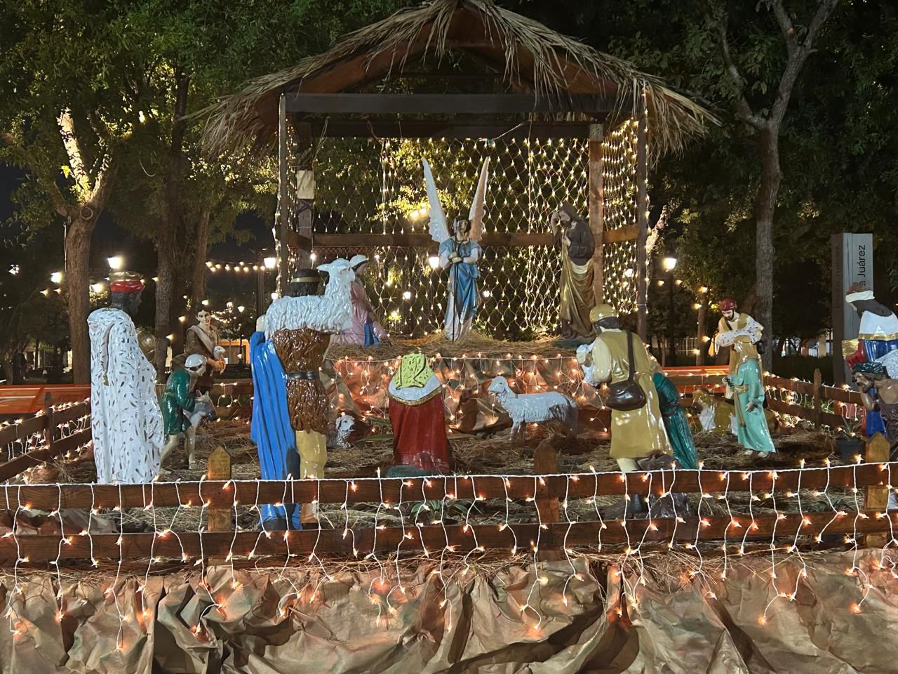 WhatsApp Image 2025-11-29 at 8.26.42 PM (2).jpeg