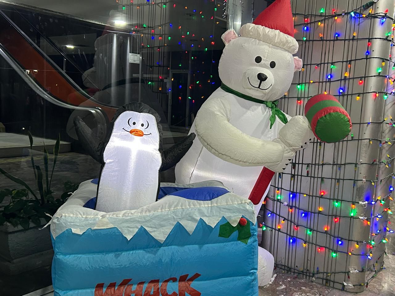 WhatsApp Image 2025-11-29 at 8.26.43 PM.jpeg