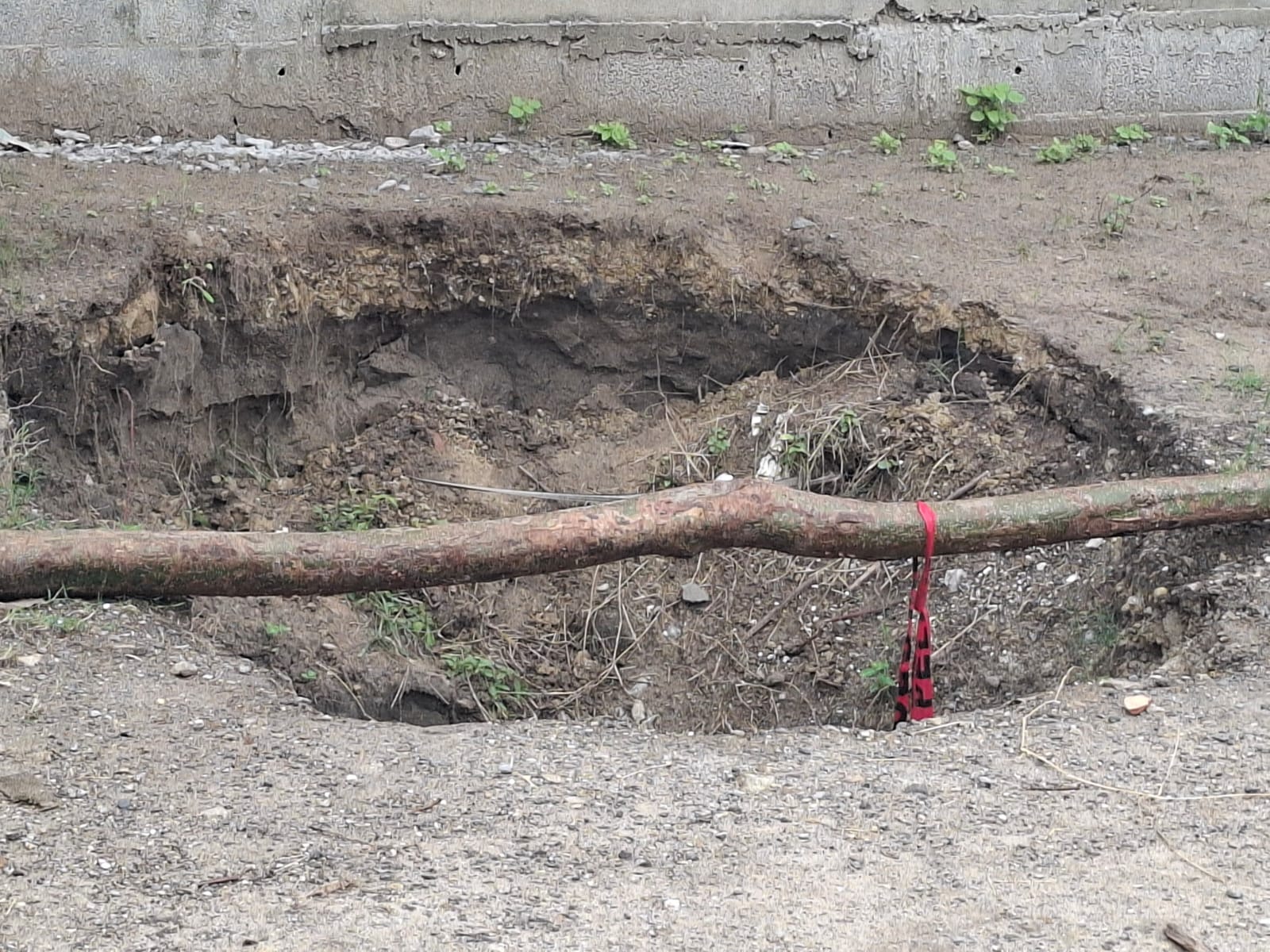 WhatsApp Image 2025-12-01 at 3.11.32 PM (2).jpeg