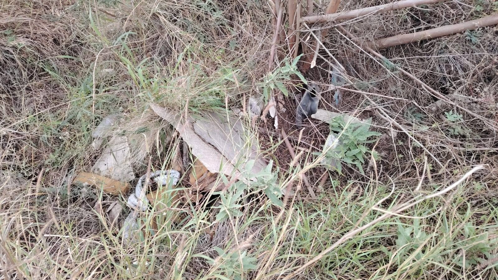 WhatsApp Image 2025-12-02 at 3.25.21 PM.jpeg