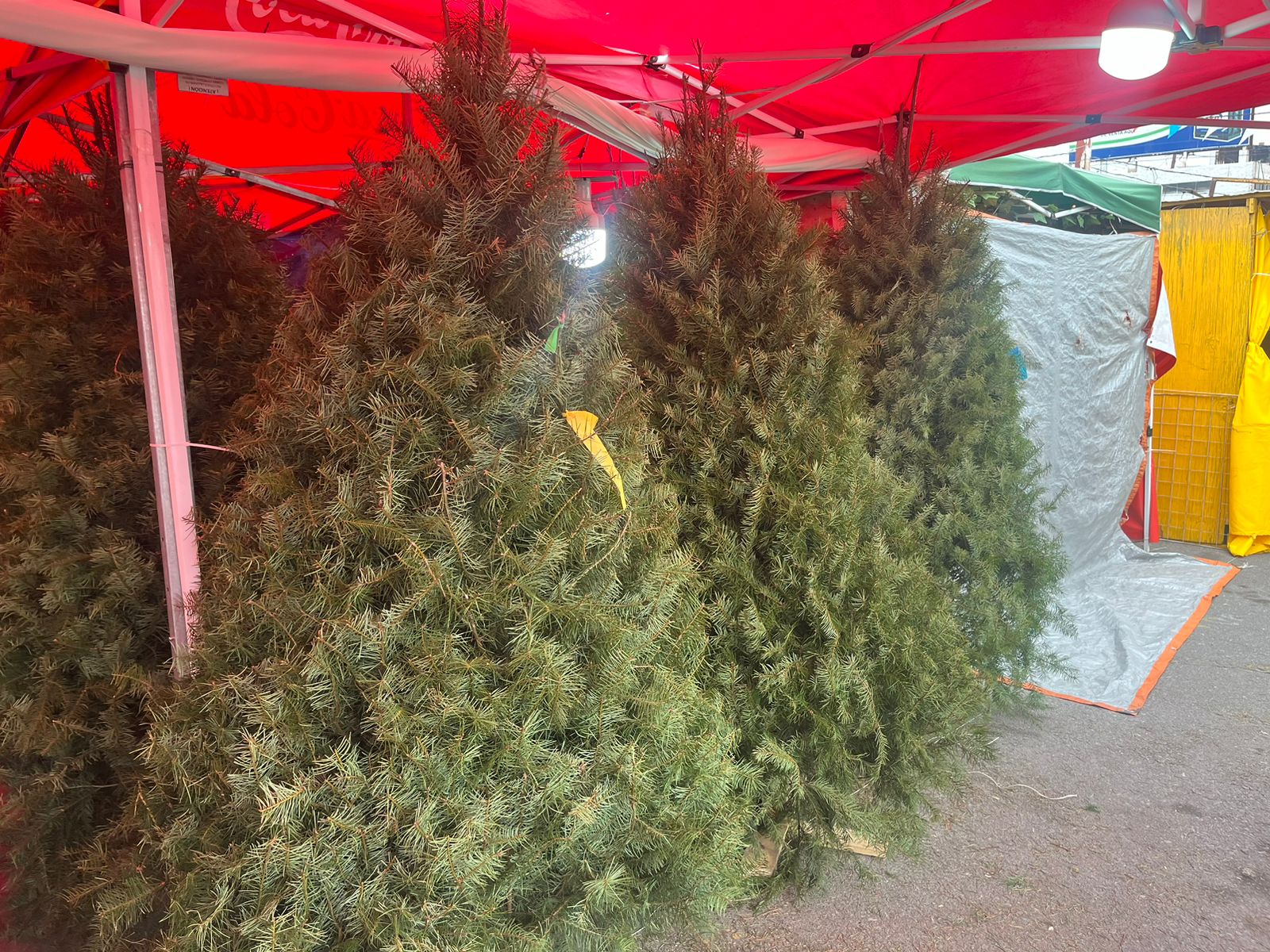 WhatsApp Image 2025-12-02 at 8.35.11 PM (1).jpeg