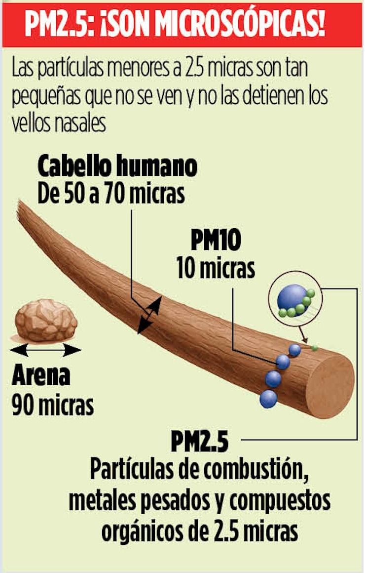 WhatsApp Image 2025-12-11 at 1.22.28 AM (1).jpeg