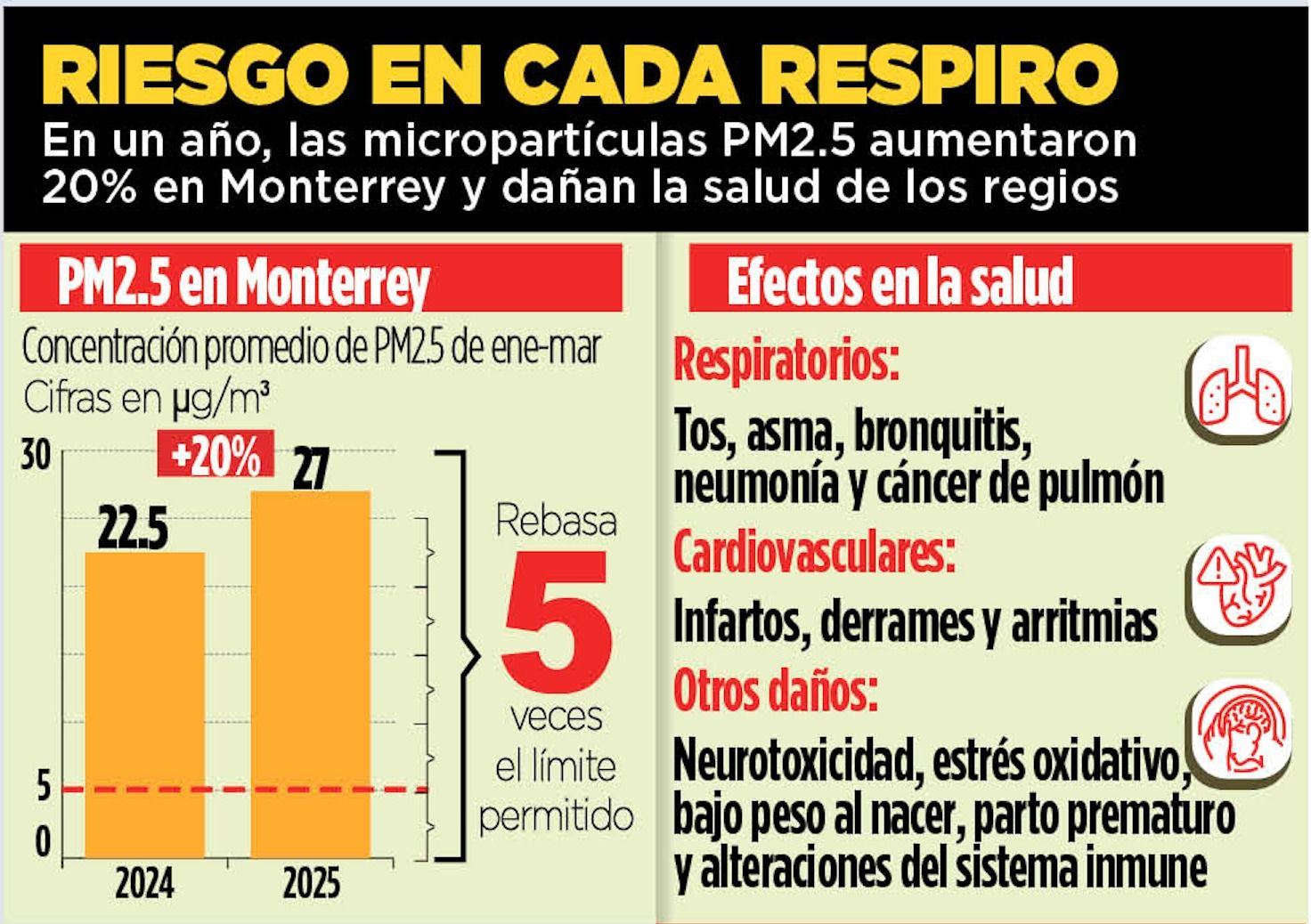 WhatsApp Image 2025-12-11 at 1.22.28 AM.jpeg