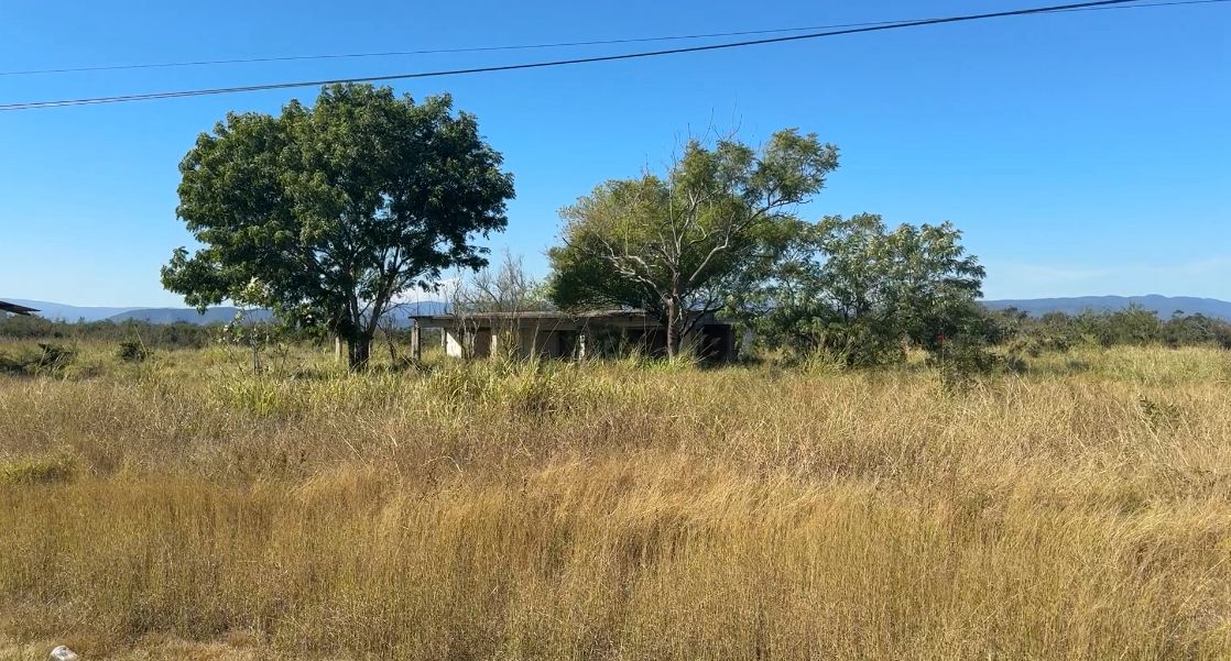 WhatsApp Image 2025-12-11 at 8.04.22 AM.jpeg