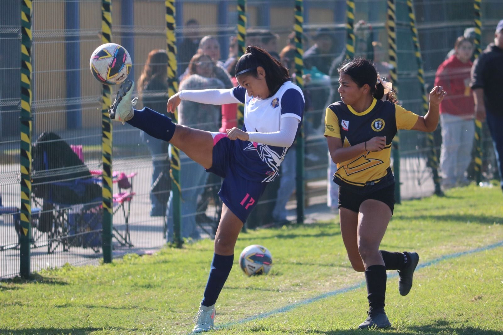 WhatsApp Image 2025-12-12 at 12.43.17 AM.jpeg