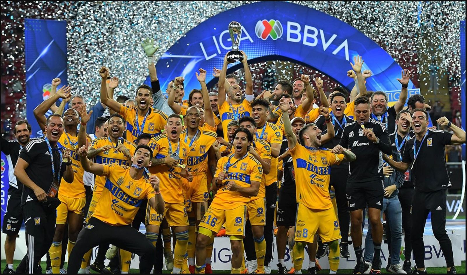 WhatsApp Image 2025-12-16 at 1.26.29 AM.jpeg