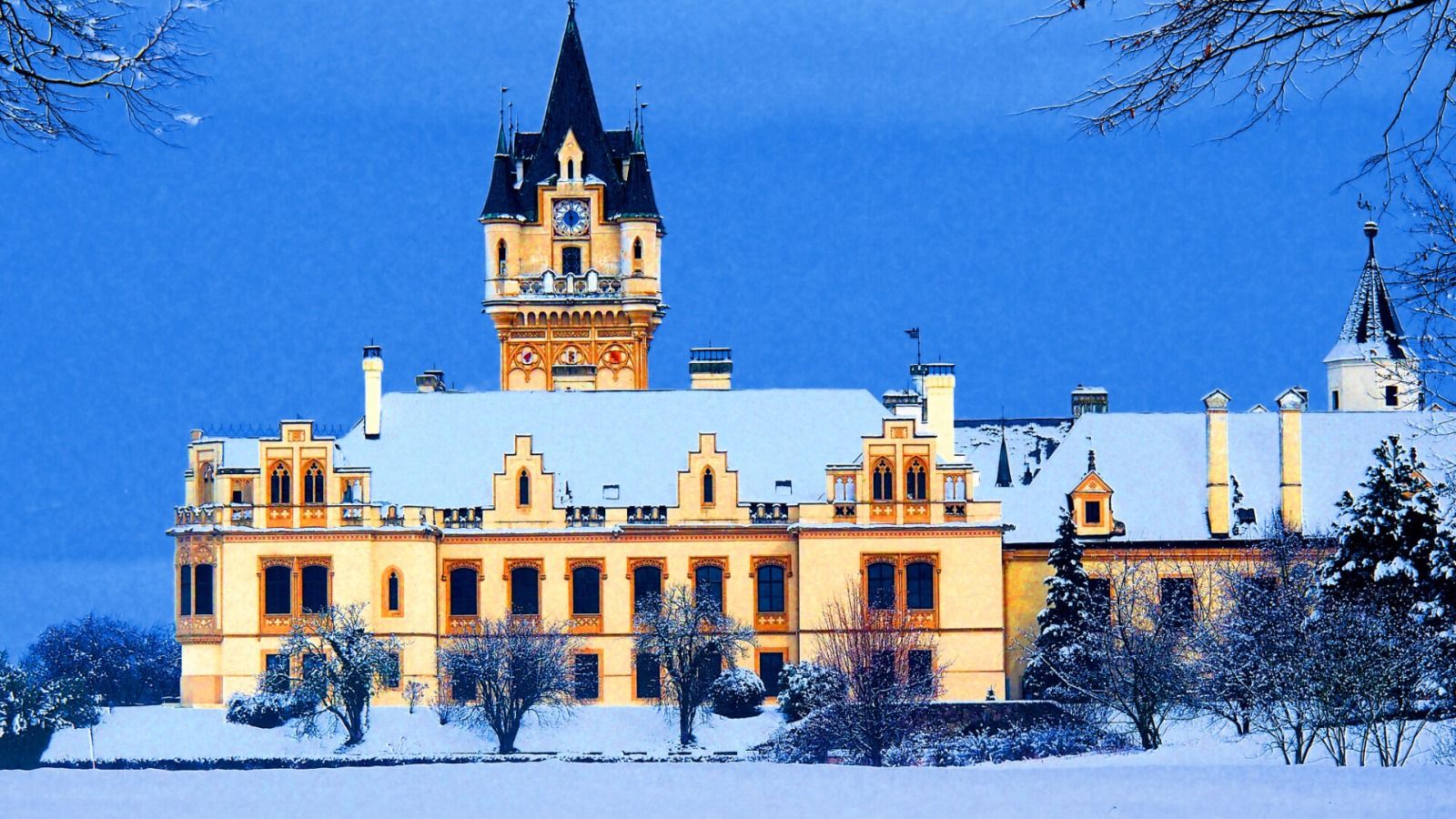 WhatsApp Image 2025-12-18 at 6.35.12 PM.jpeg