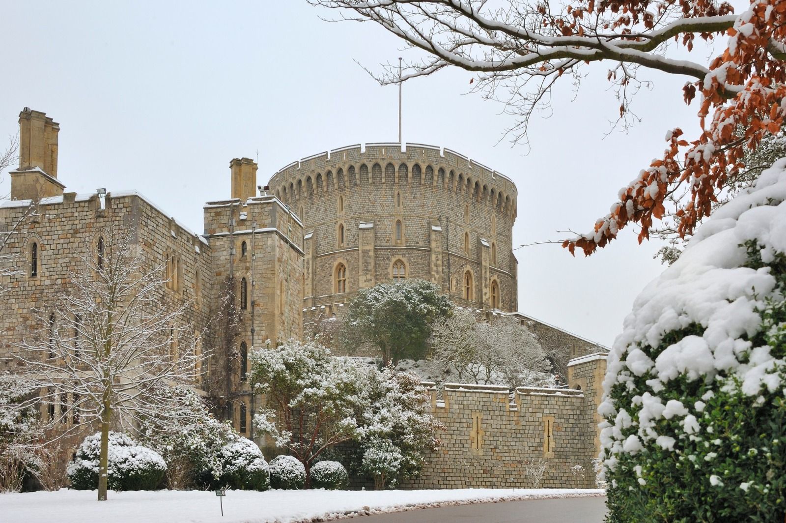 WhatsApp Image 2025-12-18 at 6.36.54 PM.jpeg