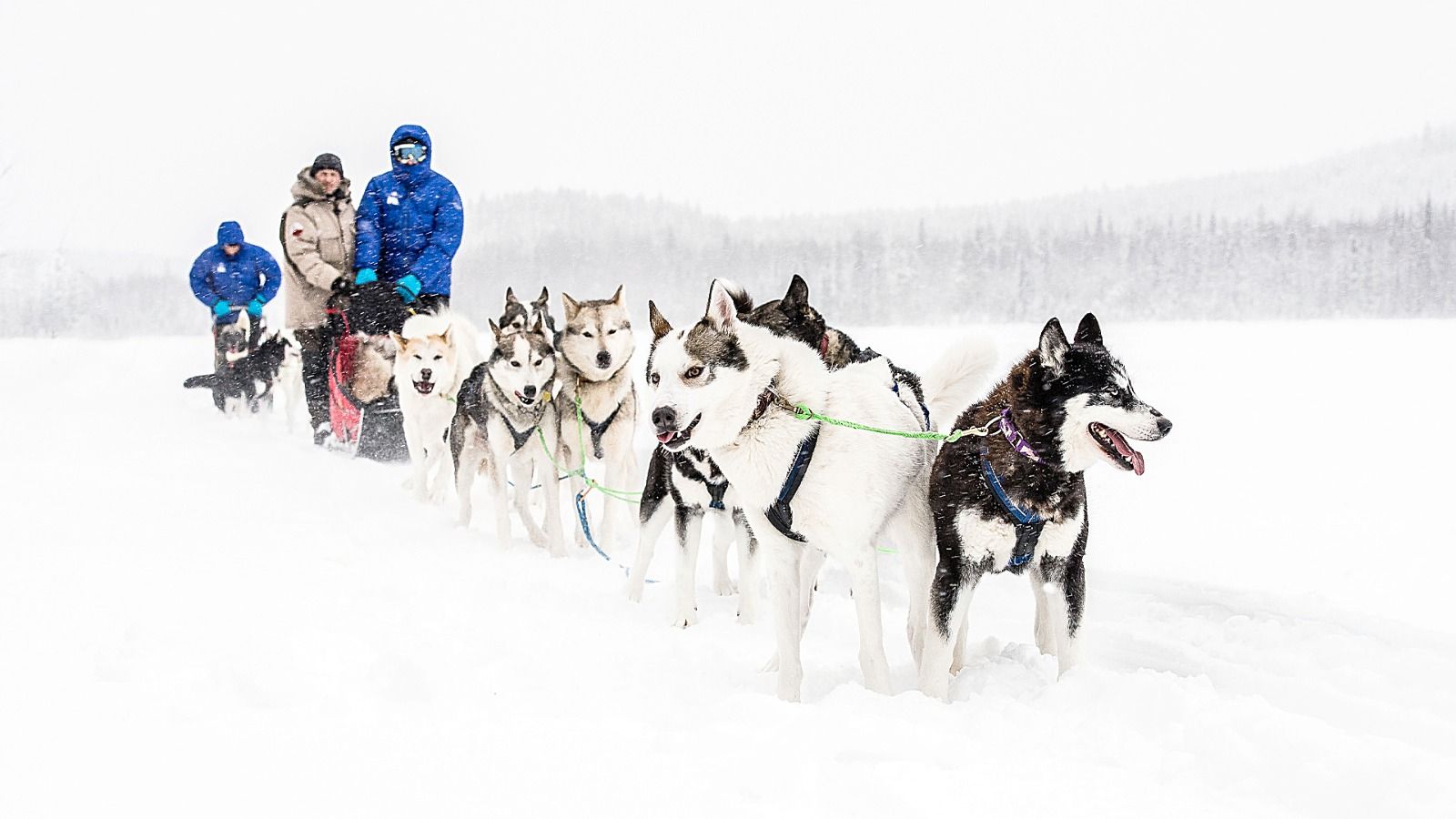 WhatsApp Image 2025-12-18 at 7.23.06 PM.jpeg