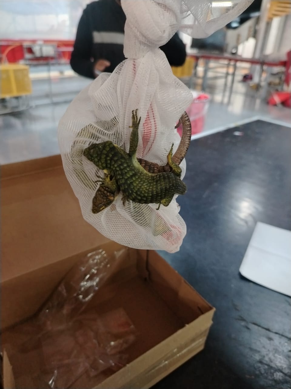 WhatsApp Image 2025-12-20 at 9.58.59 AM (1).jpeg