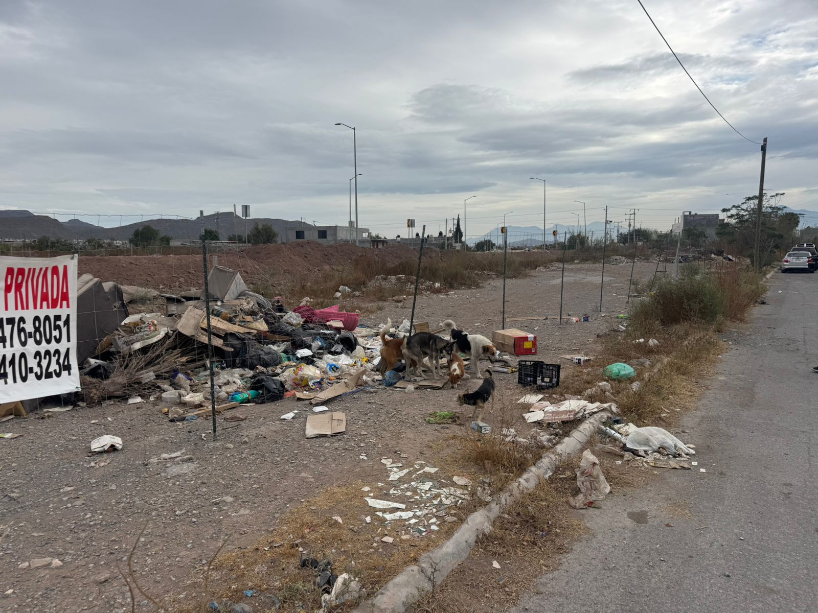 WhatsApp Image 2025-12-22 at 2.34.36 PM (1).jpeg