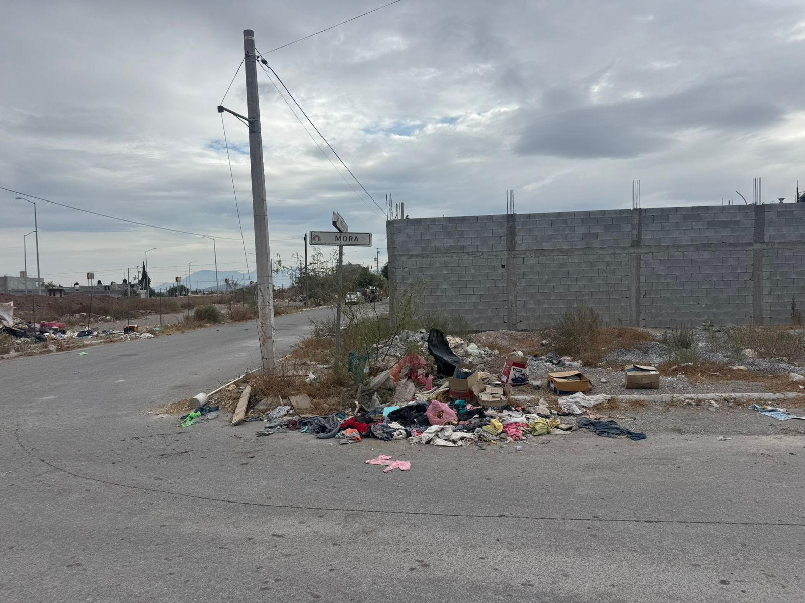 WhatsApp Image 2025-12-22 at 2.34.37 PM.jpeg