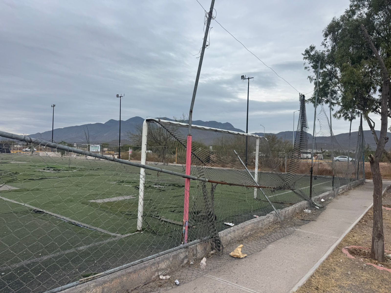 WhatsApp Image 2025-12-22 at 2.42.33 PM.jpeg