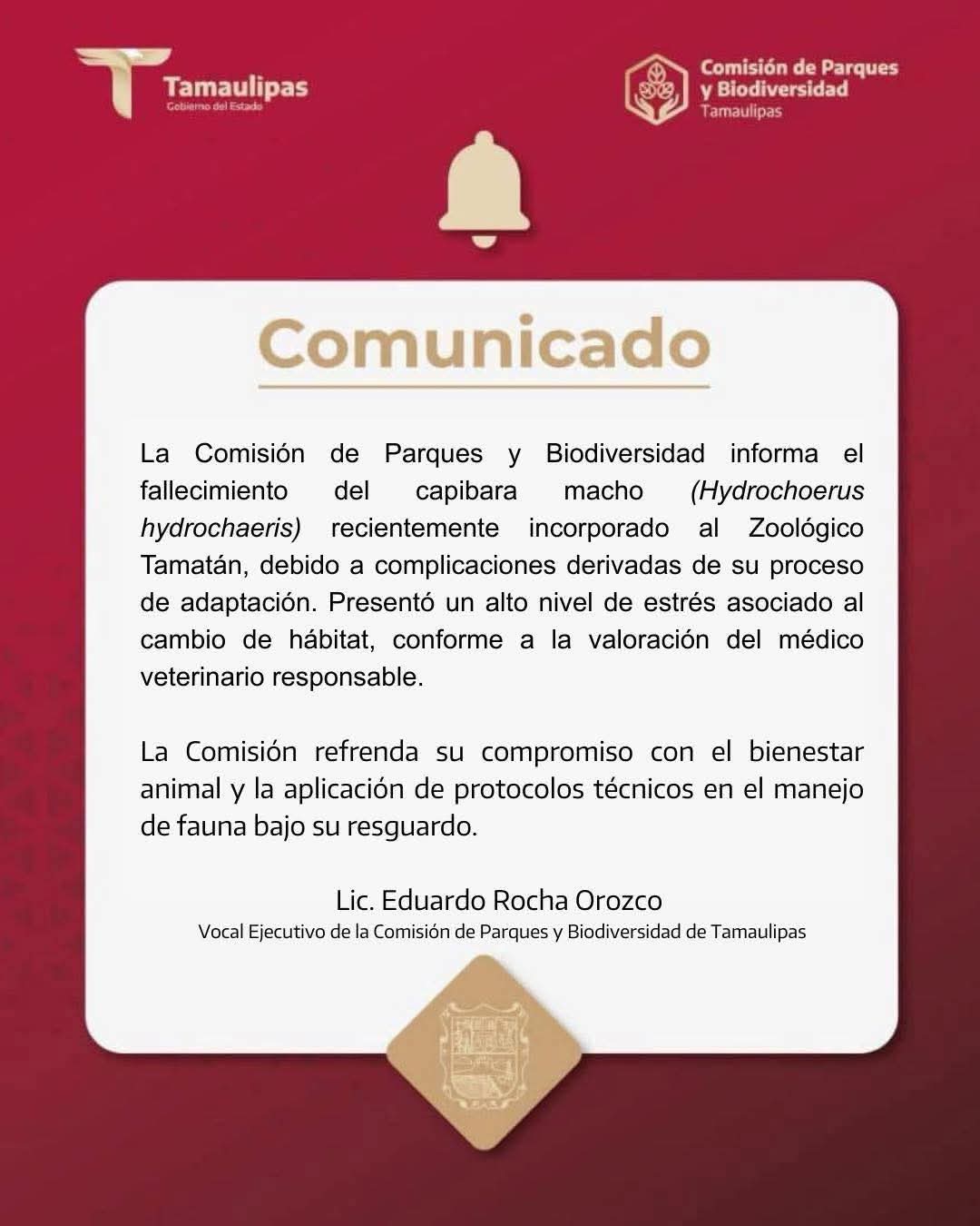 WhatsApp Image 2025-12-27 at 10.17.35 PM.jpeg