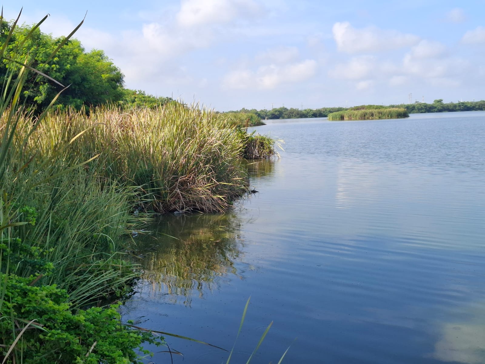 WhatsApp Image 2025-12-28 at 5.06.31 PM.jpeg