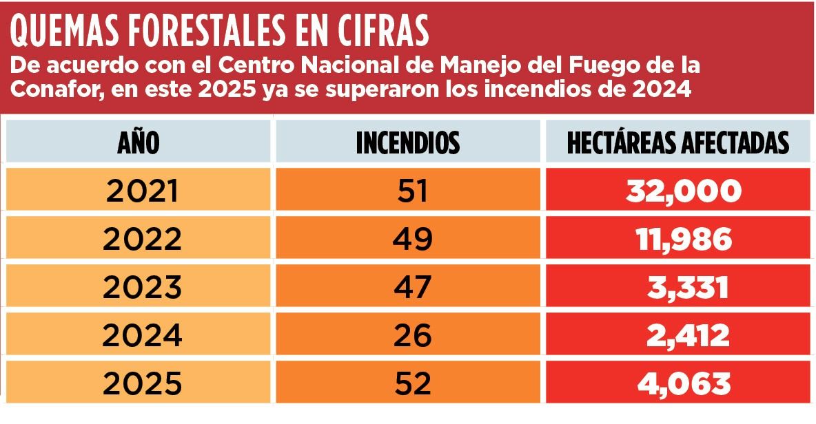 WhatsApp Image 2025-12-29 at 12.38.48 AM.jpeg