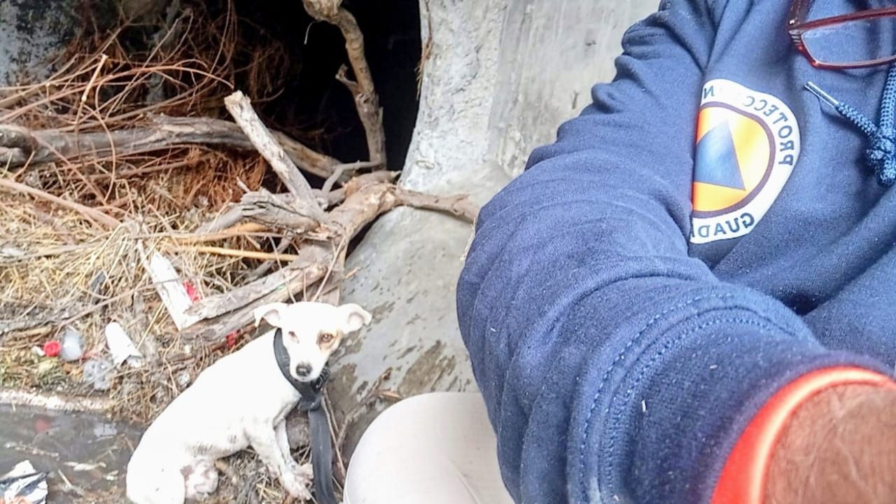 WhatsApp Image 2025-12-29 at 3.12.41 PM.jpeg