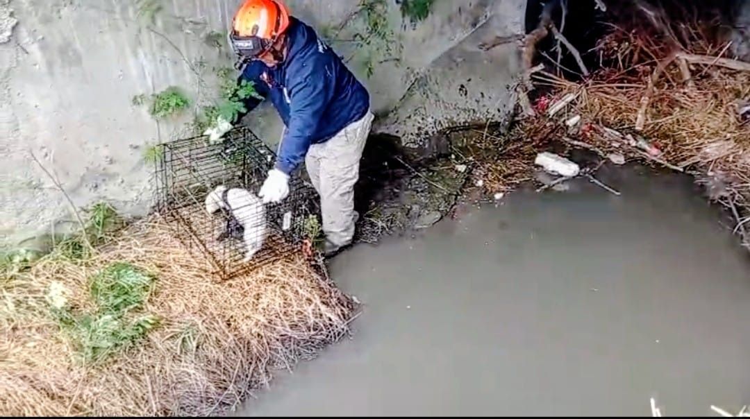 WhatsApp Image 2025-12-29 at 3.12.52 PM.jpeg