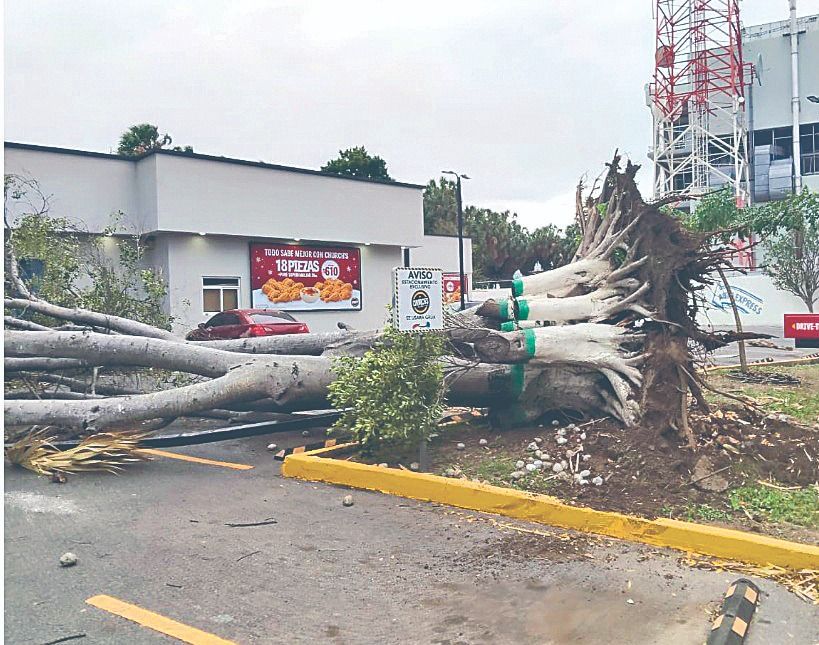 WhatsApp Image 2025-12-30 at 12.19.12 AM (1).jpeg