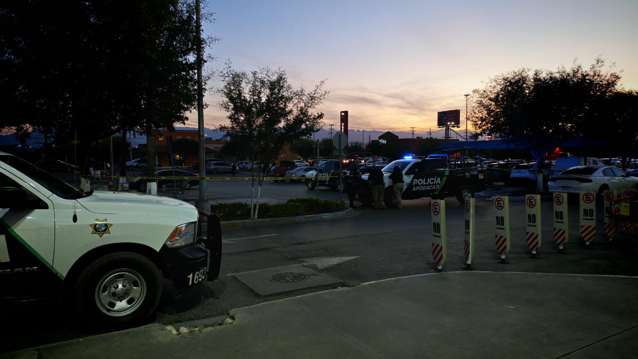 WhatsApp Image 2026-01-02 at 6.34.02 PM.jpeg