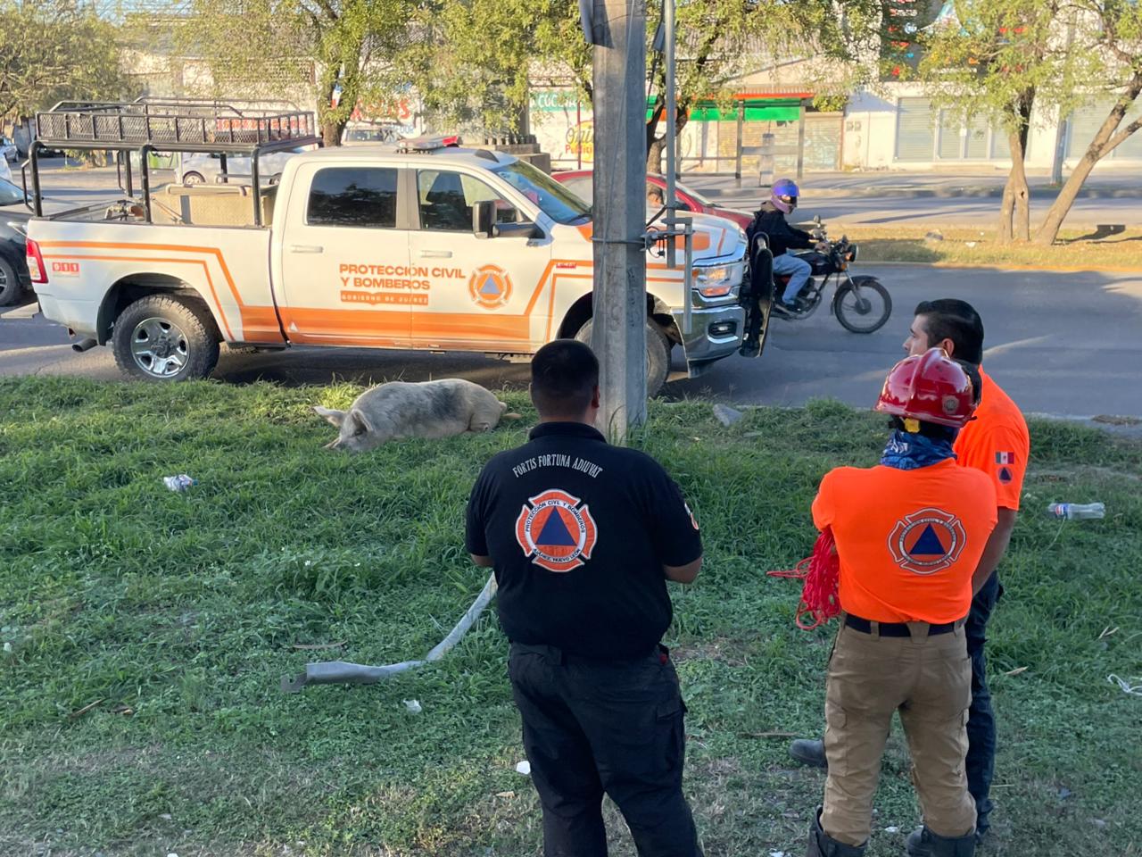 WhatsApp Image 2026-01-03 at 8.22.39 PM (1).jpeg