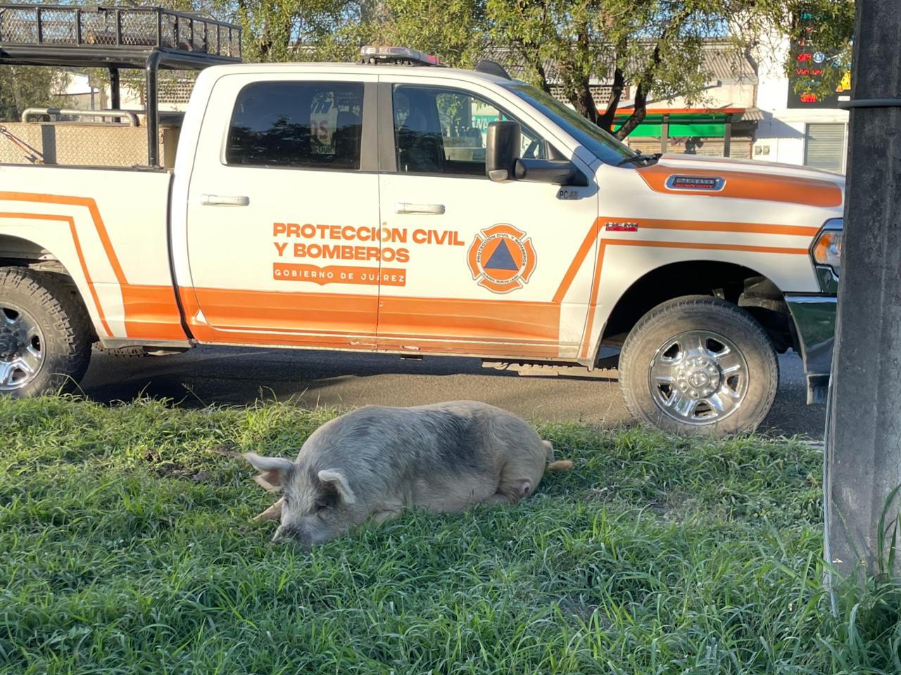 WhatsApp Image 2026-01-03 at 8.22.40 PM (3).jpeg