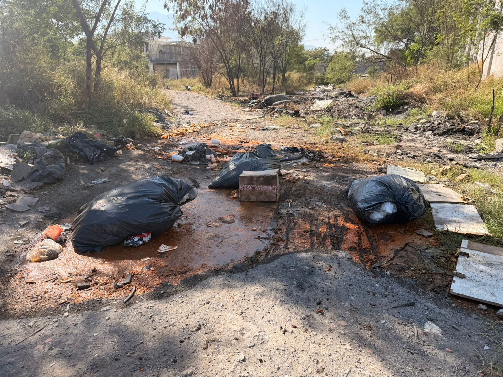 WhatsApp Image 2026-01-05 at 3.49.36 PM (1).jpeg