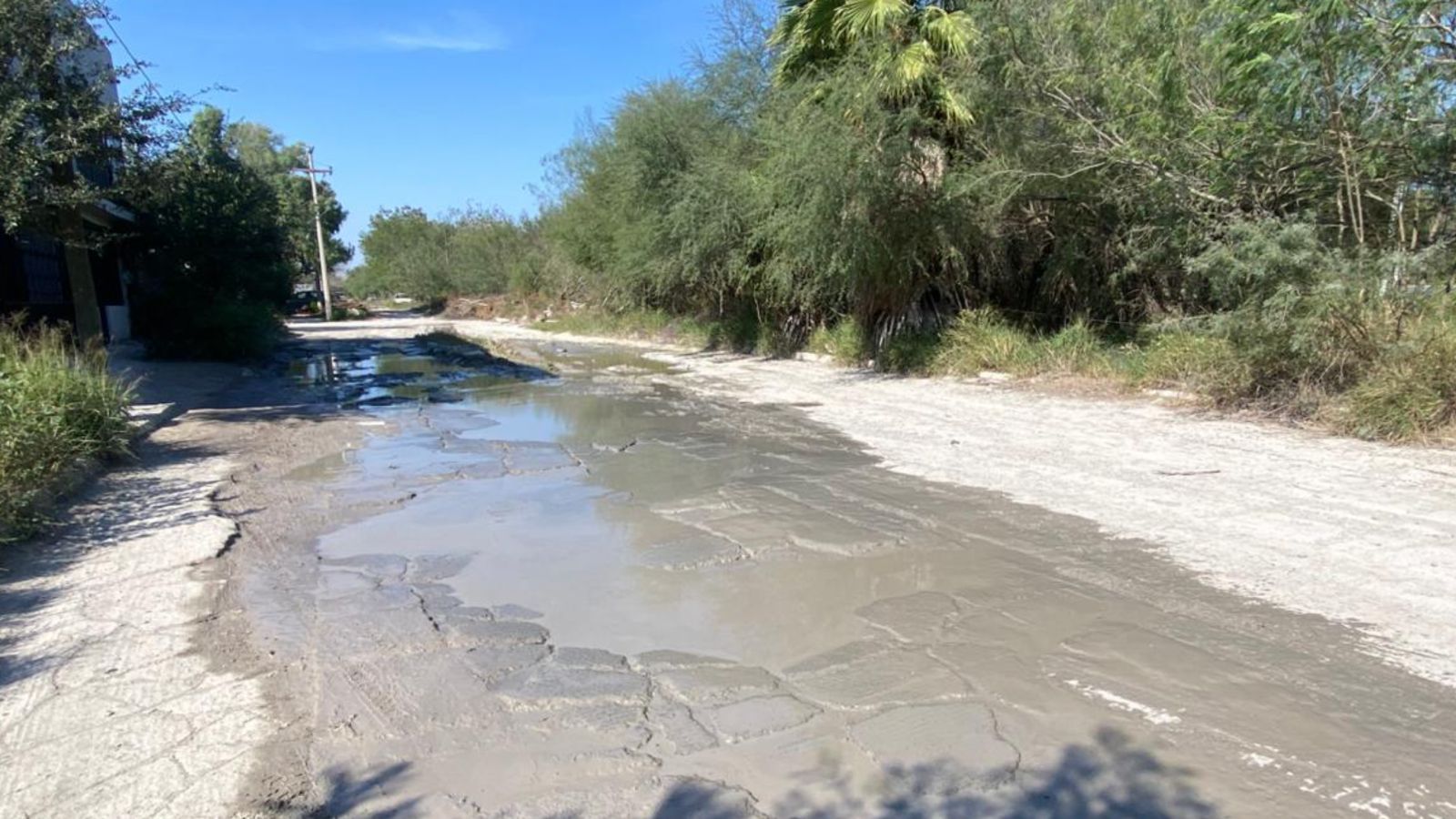 WhatsApp Image 2026-01-06 at 2.06.36 PM.jpeg