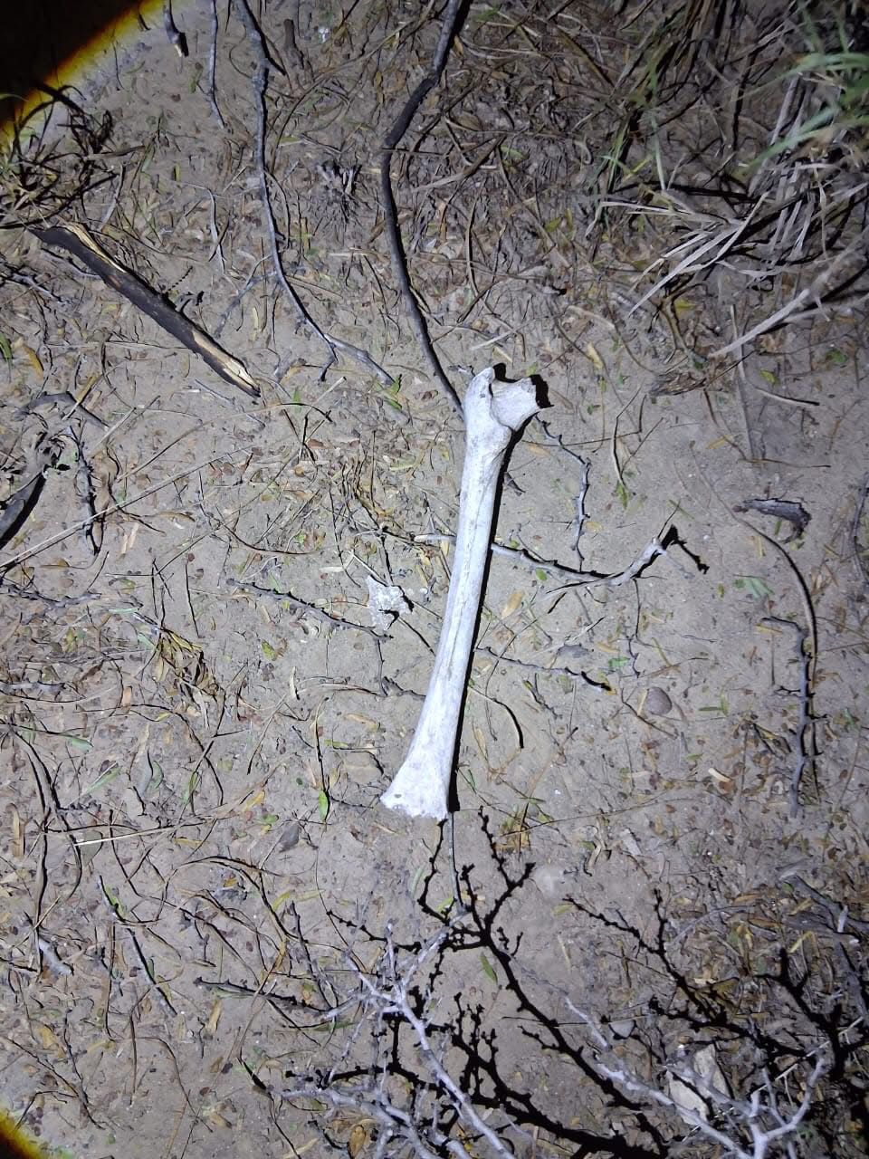 WhatsApp Image 2026-01-07 at 2.06.58 PM.jpeg