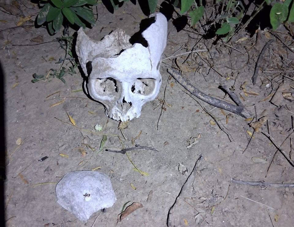 WhatsApp Image 2026-01-07 at 2.06.59 PM (1).jpeg