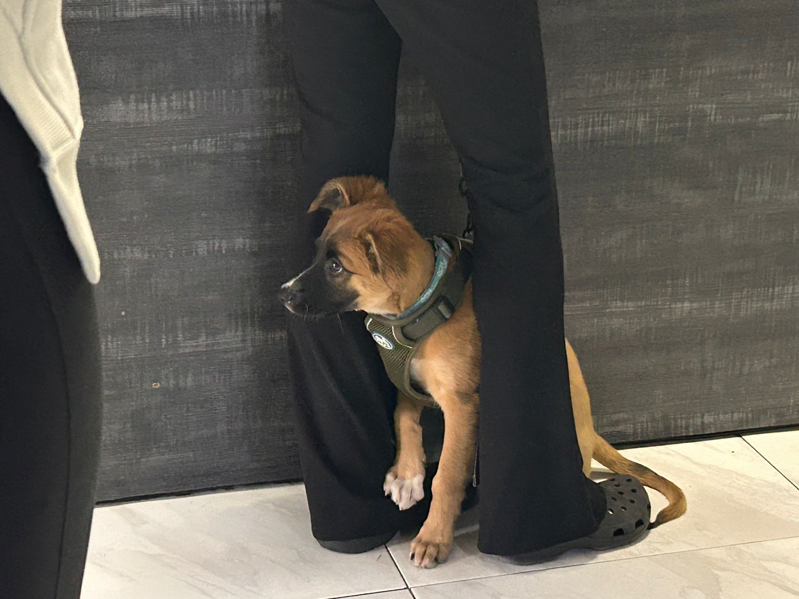 WhatsApp Image 2026-01-10 at 6.16.51 PM (1).jpeg