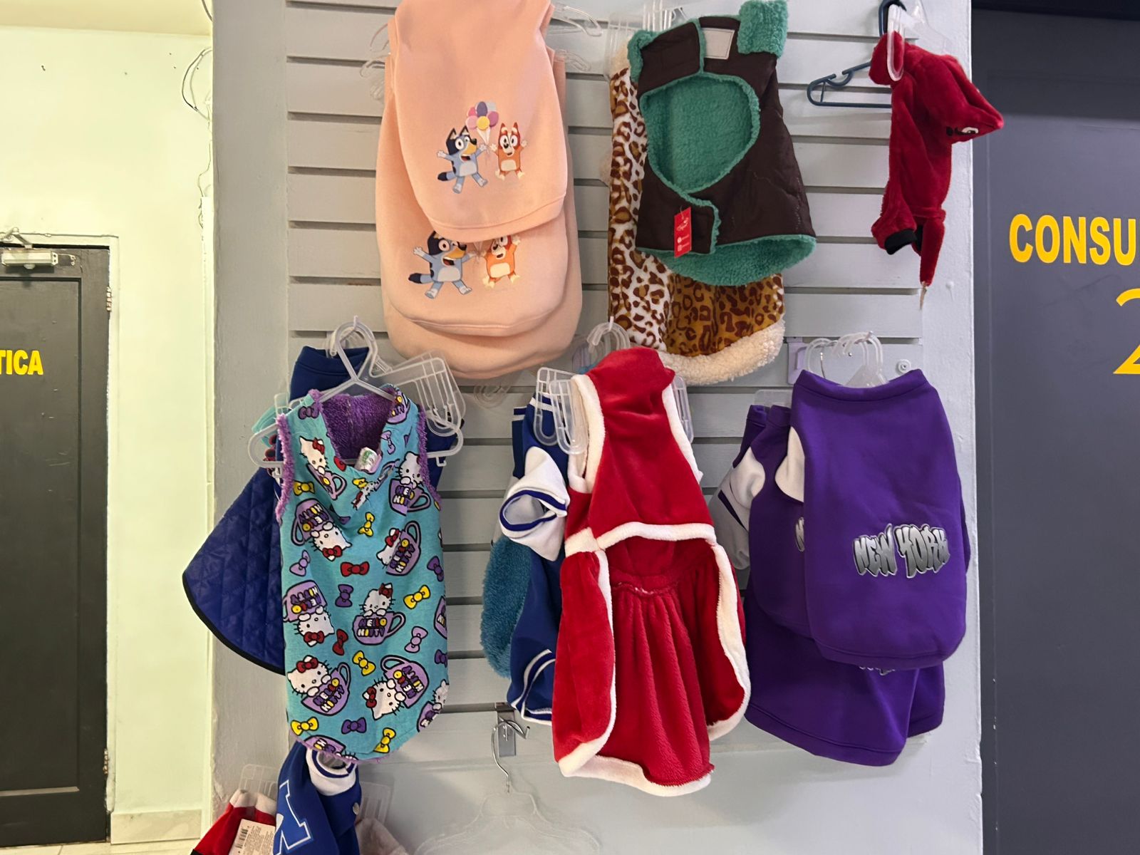 WhatsApp Image 2026-01-10 at 6.16.51 PM.jpeg