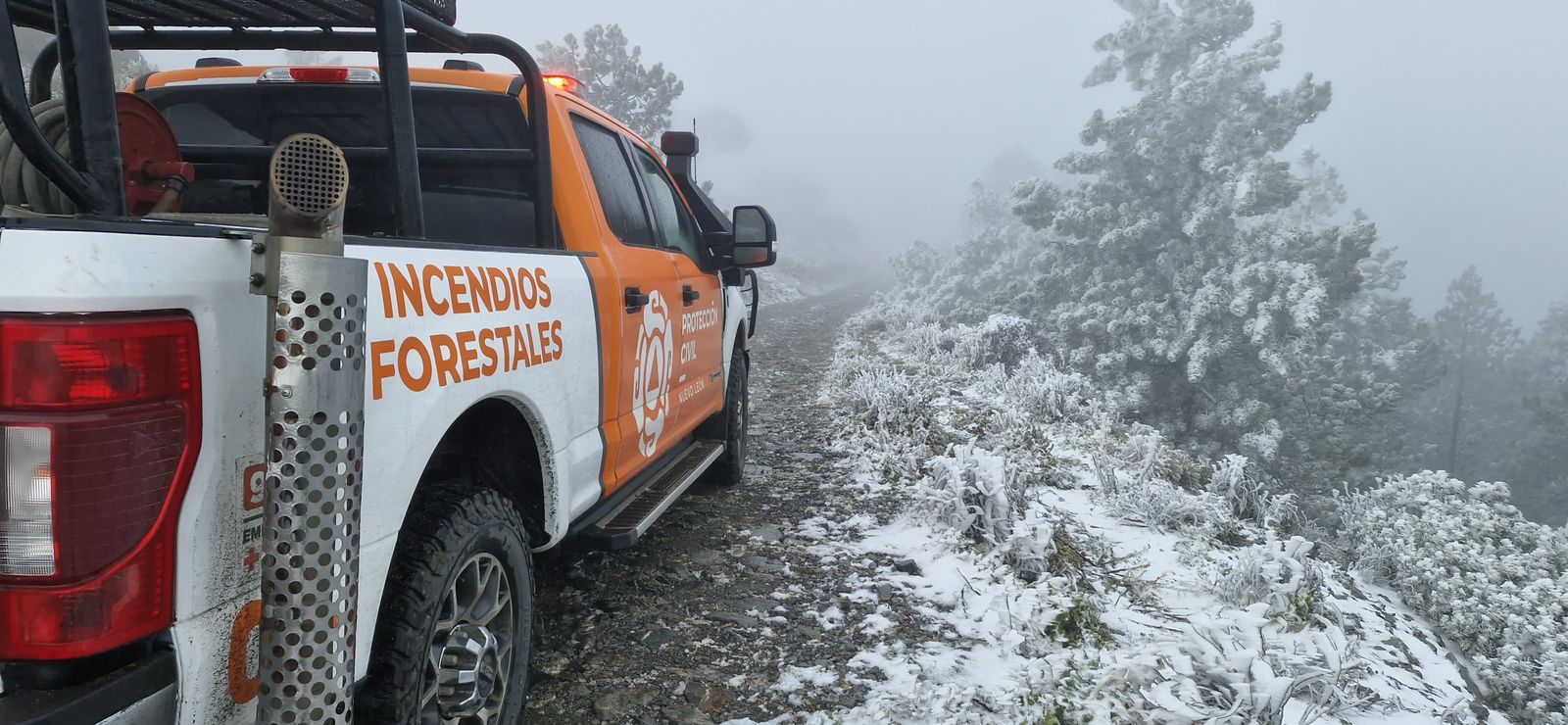 WhatsApp Image 2026-01-12 at 2.45.44 PM.jpeg