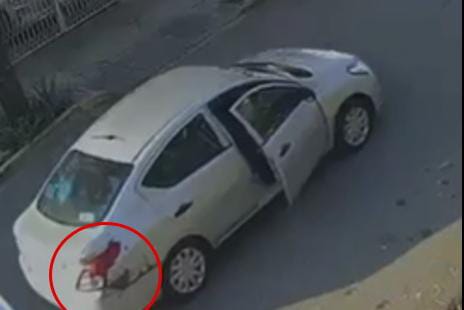 WhatsApp Image 2026-01-13 at 11.21.56 AM.jpeg