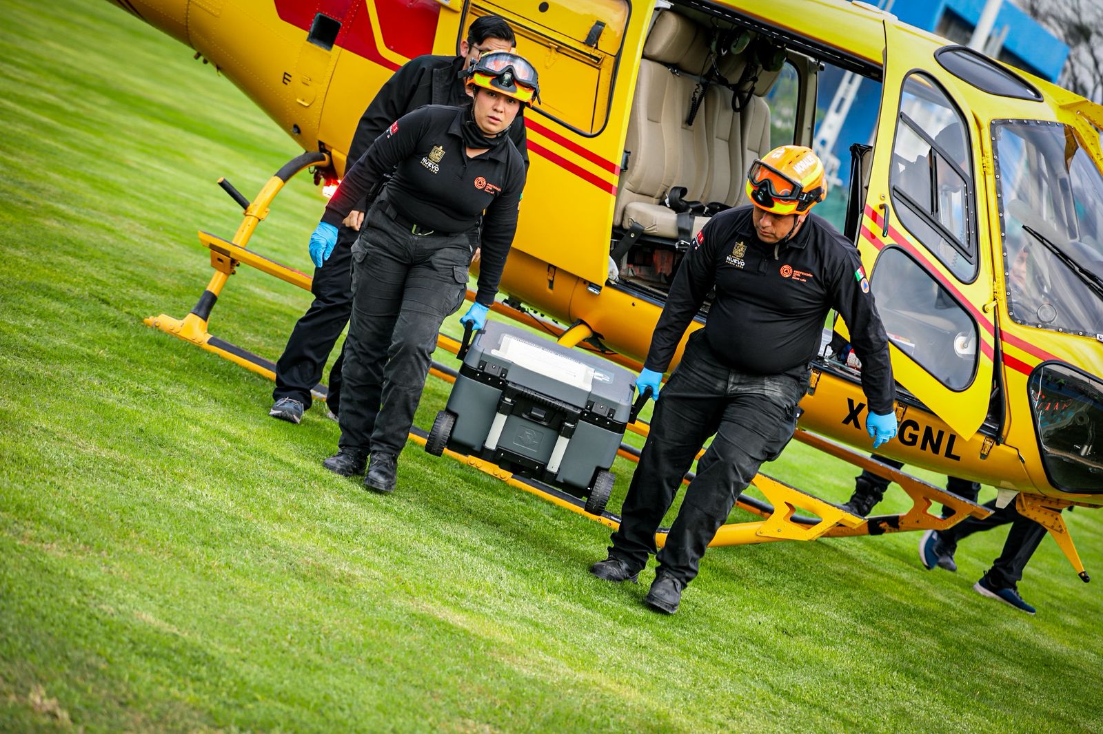 WhatsApp Image 2026-01-13 at 8.37.30 PM.jpeg