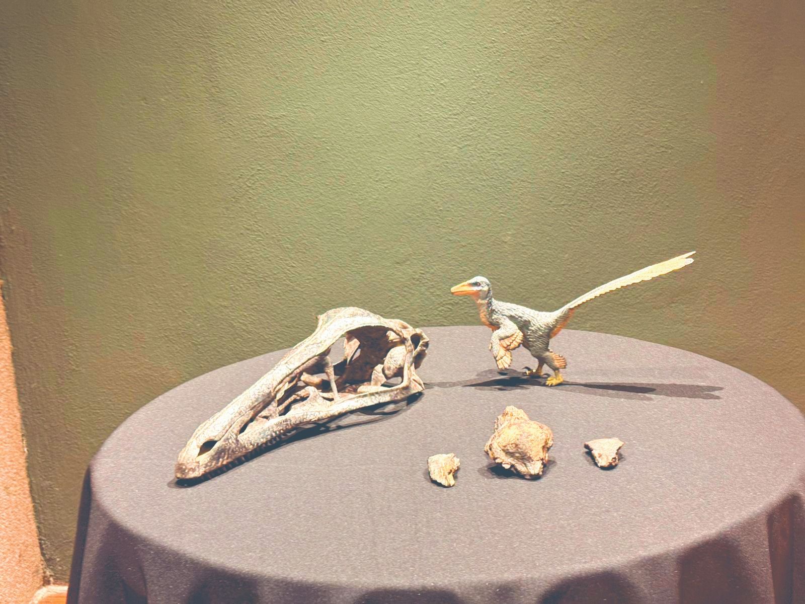 WhatsApp Image 2026-01-14 at 1.05.31 AM (1).jpeg