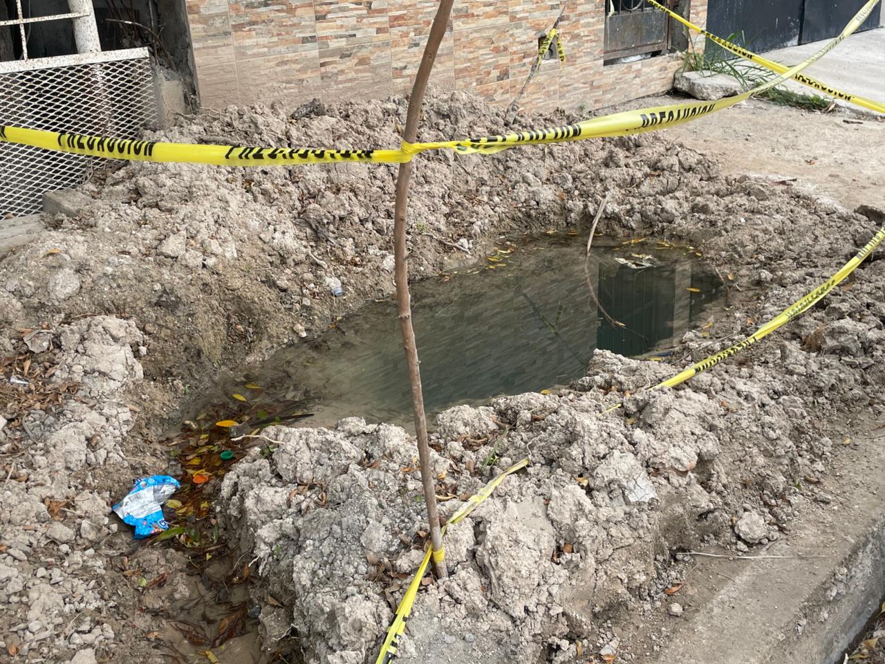 WhatsApp Image 2026-01-14 at 2.50.42 PM.jpeg