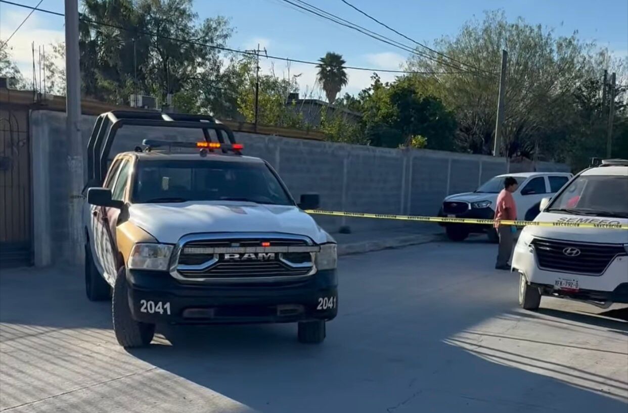 WhatsApp Image 2026-01-14 at 2.50.44 PM (1).jpeg