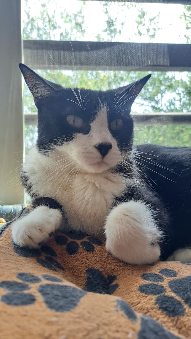 WhatsApp Image 2026-01-14 at 4.40.52 PM.jpeg