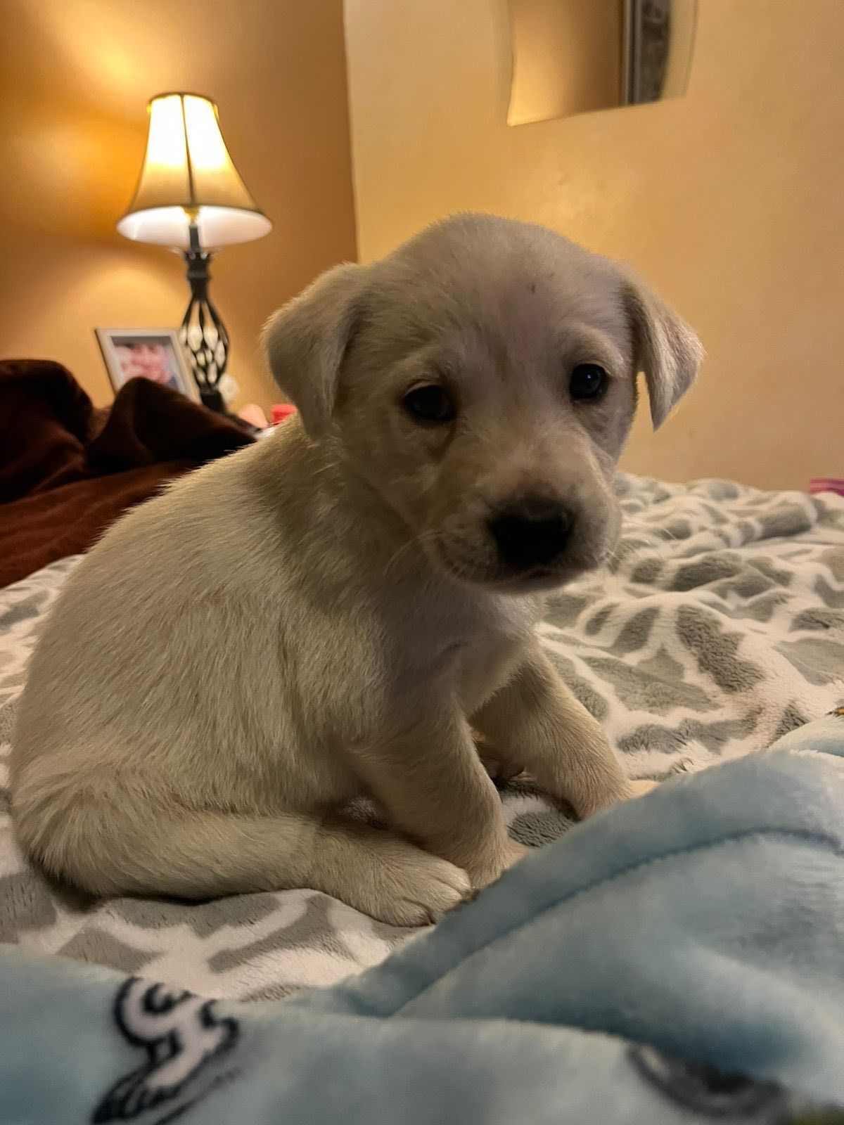 WhatsApp Image 2026-01-14 at 9.00.45 PM.jpeg