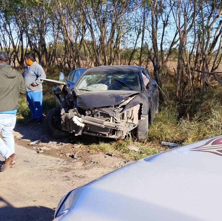 WhatsApp Image 2026-01-15 at 11.23.16 AM.jpeg